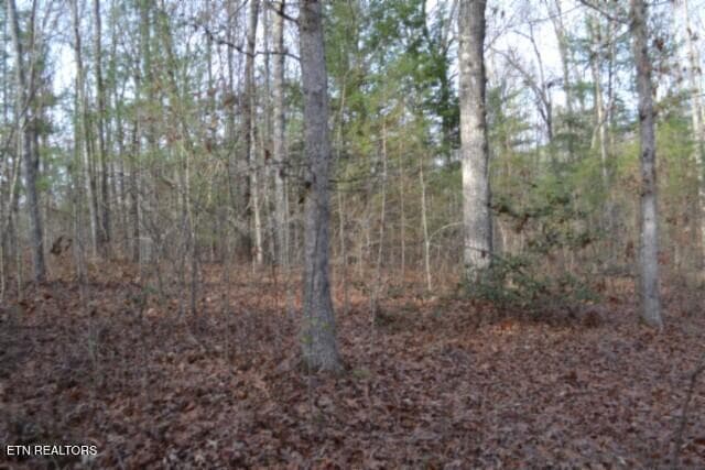 DSC_0035 - Lot 4 Shotgun Annie Rd, Jamestown, TN 38556