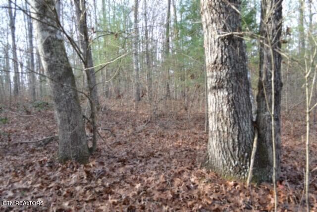 DSC_0036 - Lot 4 Shotgun Annie Rd, Jamestown, TN 38556