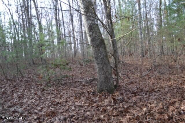 DSC_0037 - Lot 4 Shotgun Annie Rd, Jamestown, TN 38556