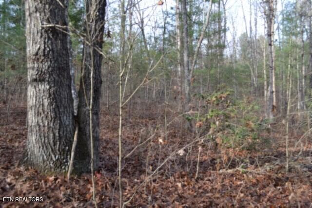 DSC_0038 - Lot 4 Shotgun Annie Rd, Jamestown, TN 38556