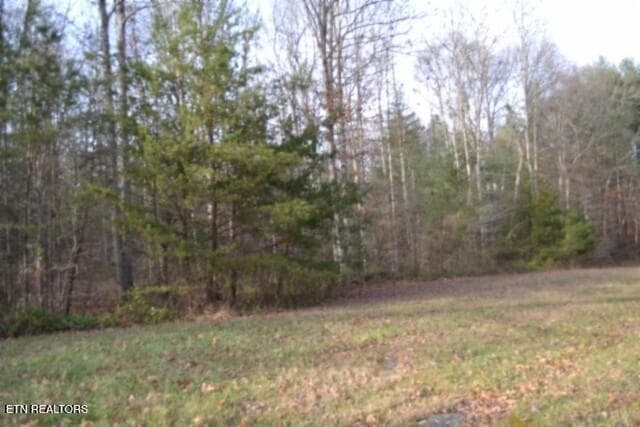DSC_0039 - Lot 4 Shotgun Annie Rd, Jamestown, TN 38556