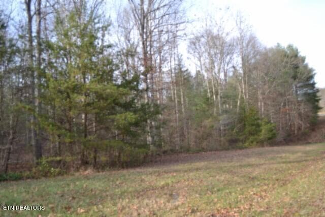 DSC_0040 - Lot 4 Shotgun Annie Rd, Jamestown, TN 38556