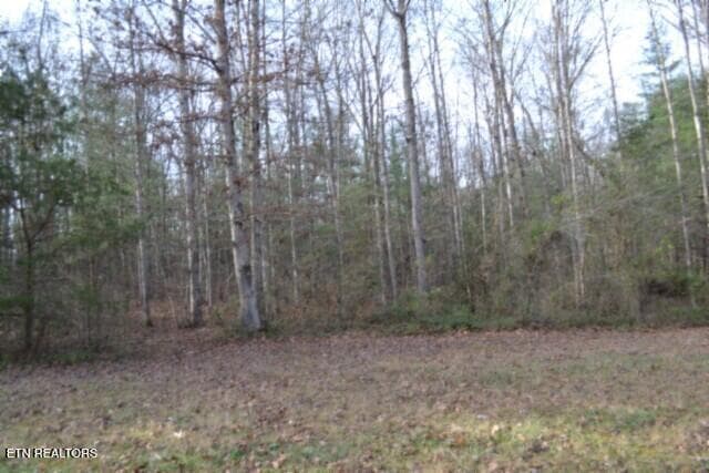 DSC_0041 - Lot 4 Shotgun Annie Rd, Jamestown, TN 38556