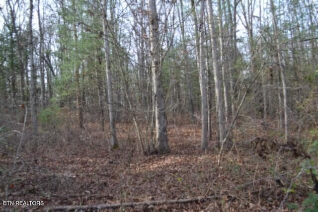 DSC_0042 - Lot 4 Shotgun Annie Rd, Jamestown, TN 38556