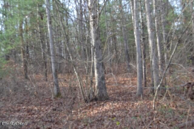 DSC_0043 - Lot 4 Shotgun Annie Rd, Jamestown, TN 38556