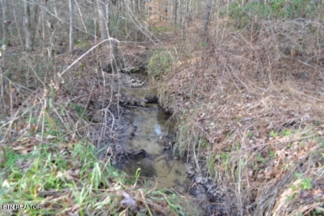 DSC_0047 - Lot 4 Shotgun Annie Rd, Jamestown, TN 38556