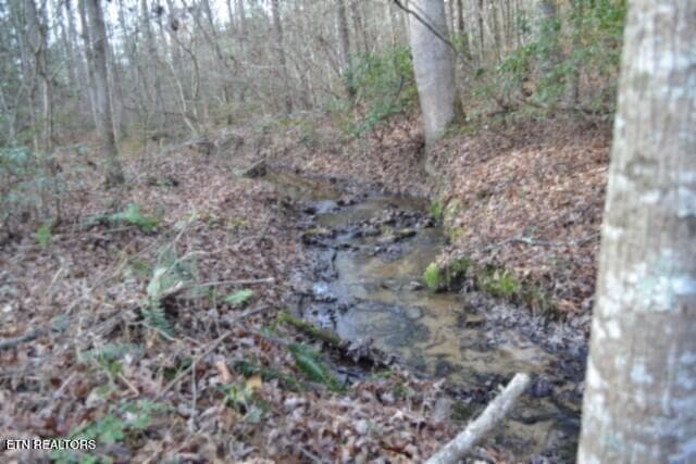 DSC_0049 - Lot 4 Shotgun Annie Rd, Jamestown, TN 38556