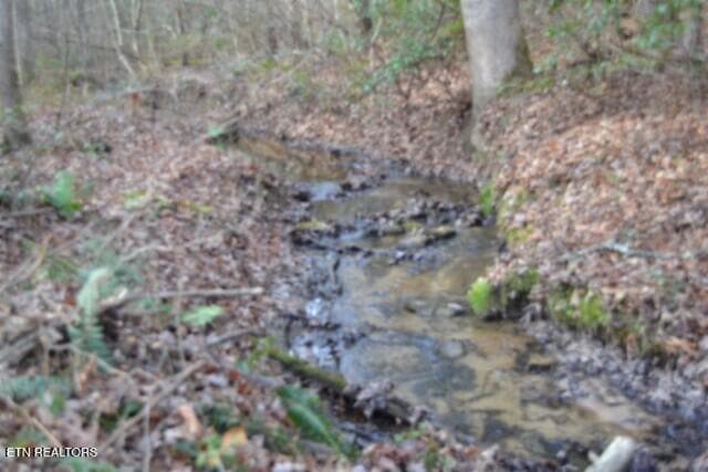 DSC_0050 - Lot 4 Shotgun Annie Rd, Jamestown, TN 38556