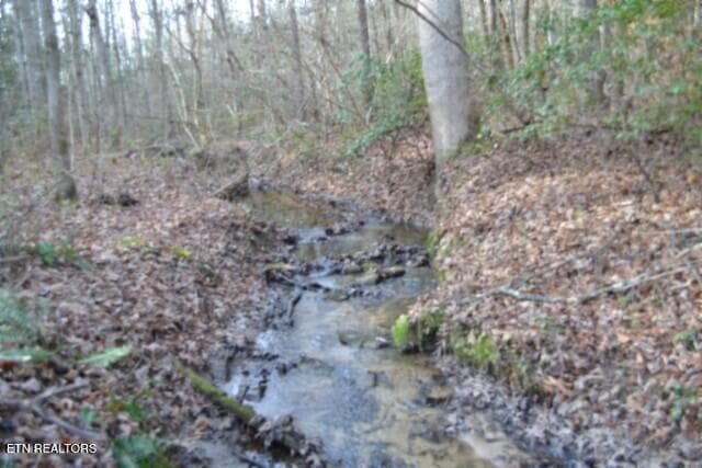 DSC_0055 - Lot 4 Shotgun Annie Rd, Jamestown, TN 38556