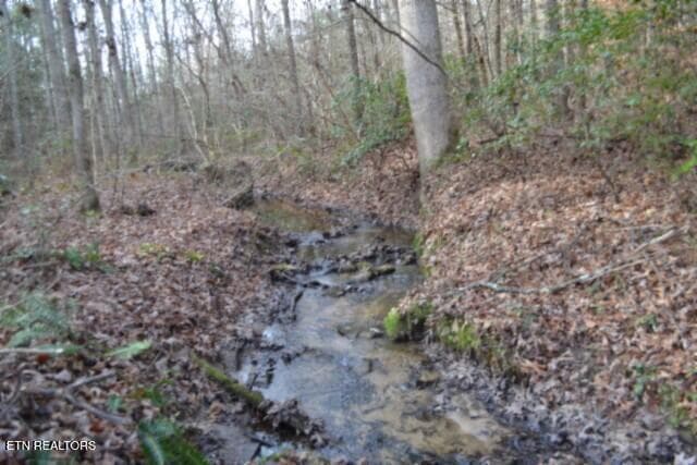 DSC_0057 - Lot 4 Shotgun Annie Rd, Jamestown, TN 38556