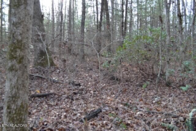 DSC_0058 - Lot 4 Shotgun Annie Rd, Jamestown, TN 38556