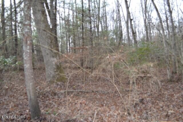 DSC_0059 - Lot 4 Shotgun Annie Rd, Jamestown, TN 38556