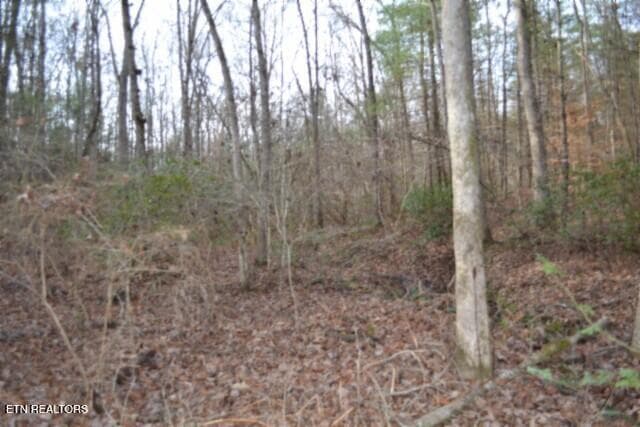 DSC_0060 - Lot 4 Shotgun Annie Rd, Jamestown, TN 38556