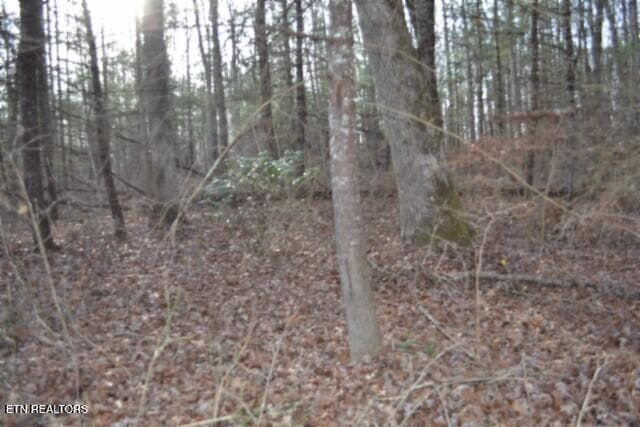 DSC_0061 - Lot 4 Shotgun Annie Rd, Jamestown, TN 38556