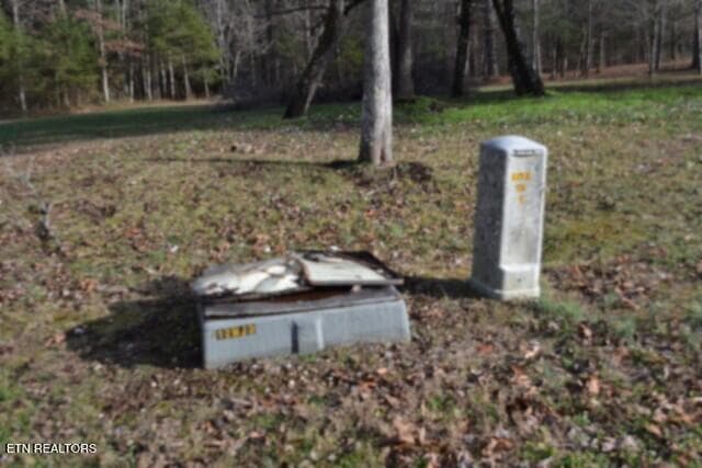 DSC_0062 - Lot 4 Shotgun Annie Rd, Jamestown, TN 38556