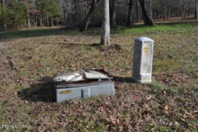 DSC_0063 - Lot 4 Shotgun Annie Rd, Jamestown, TN 38556