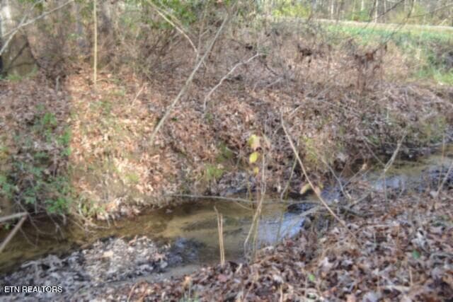 GOOD OF CREEK 1 - Lot 4 Shotgun Annie Rd, Jamestown, TN 38556