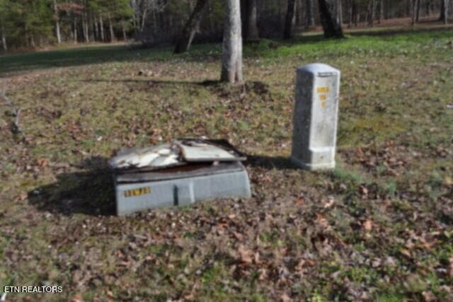 UNDERGROUND UTILITIES - Lot 4 Shotgun Annie Rd, Jamestown, TN 38556
