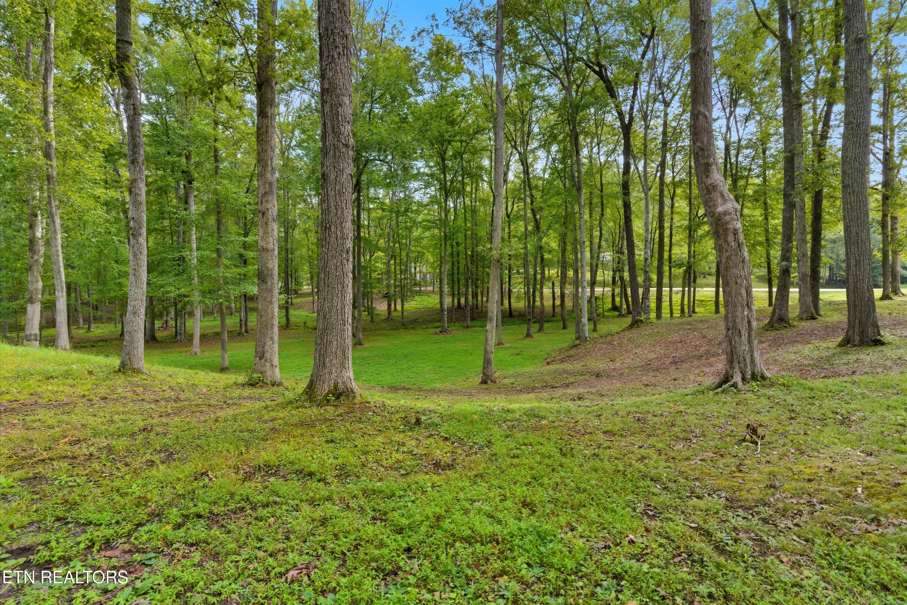 63-605 S Lake Dr-63 - 605 S Lake Drive A, Oneida, TN 37841