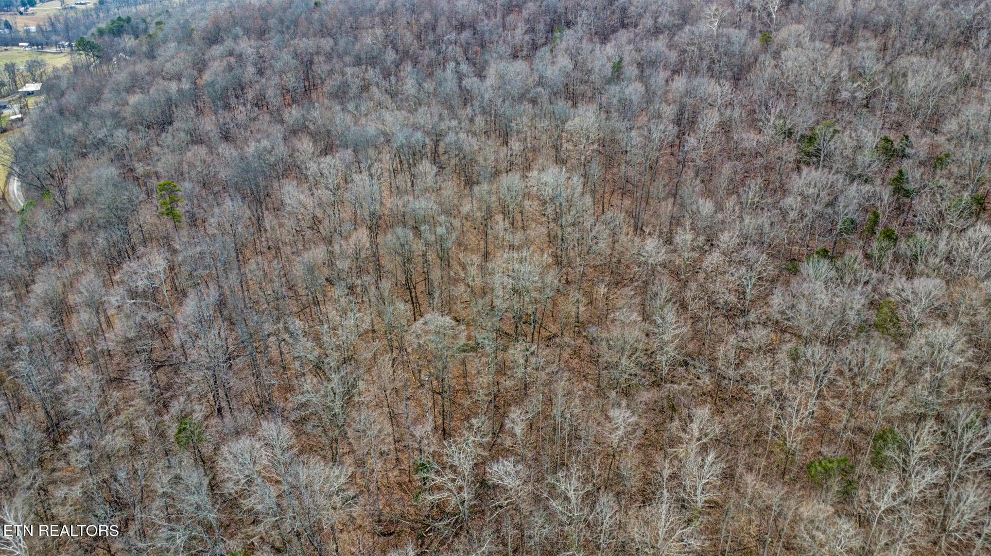 dji_0236-dji_0238 - Shellotte Loop, Pall Mall, TN 38577