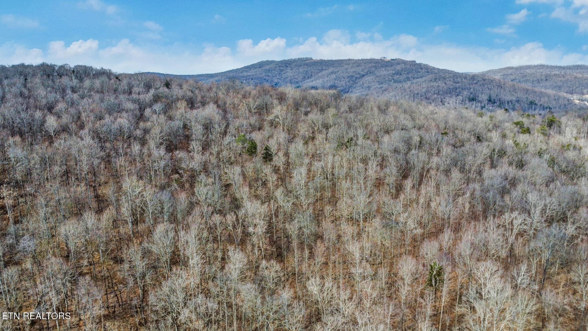 dji_0271-dji_0273 - Shellotte Loop, Pall Mall, TN 38577