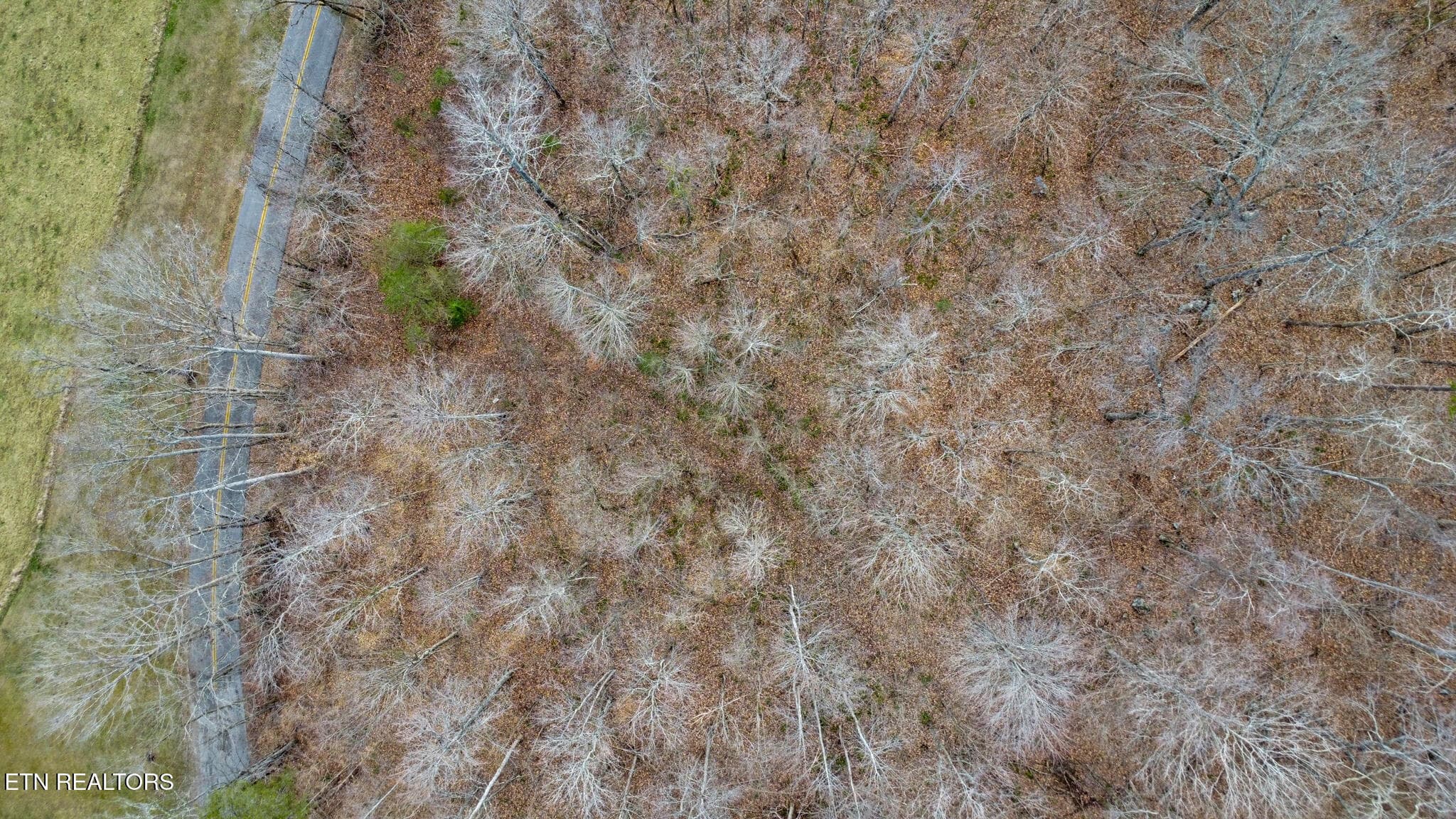 dji_0282-dji_0284 - Shellotte Loop, Pall Mall, TN 38577