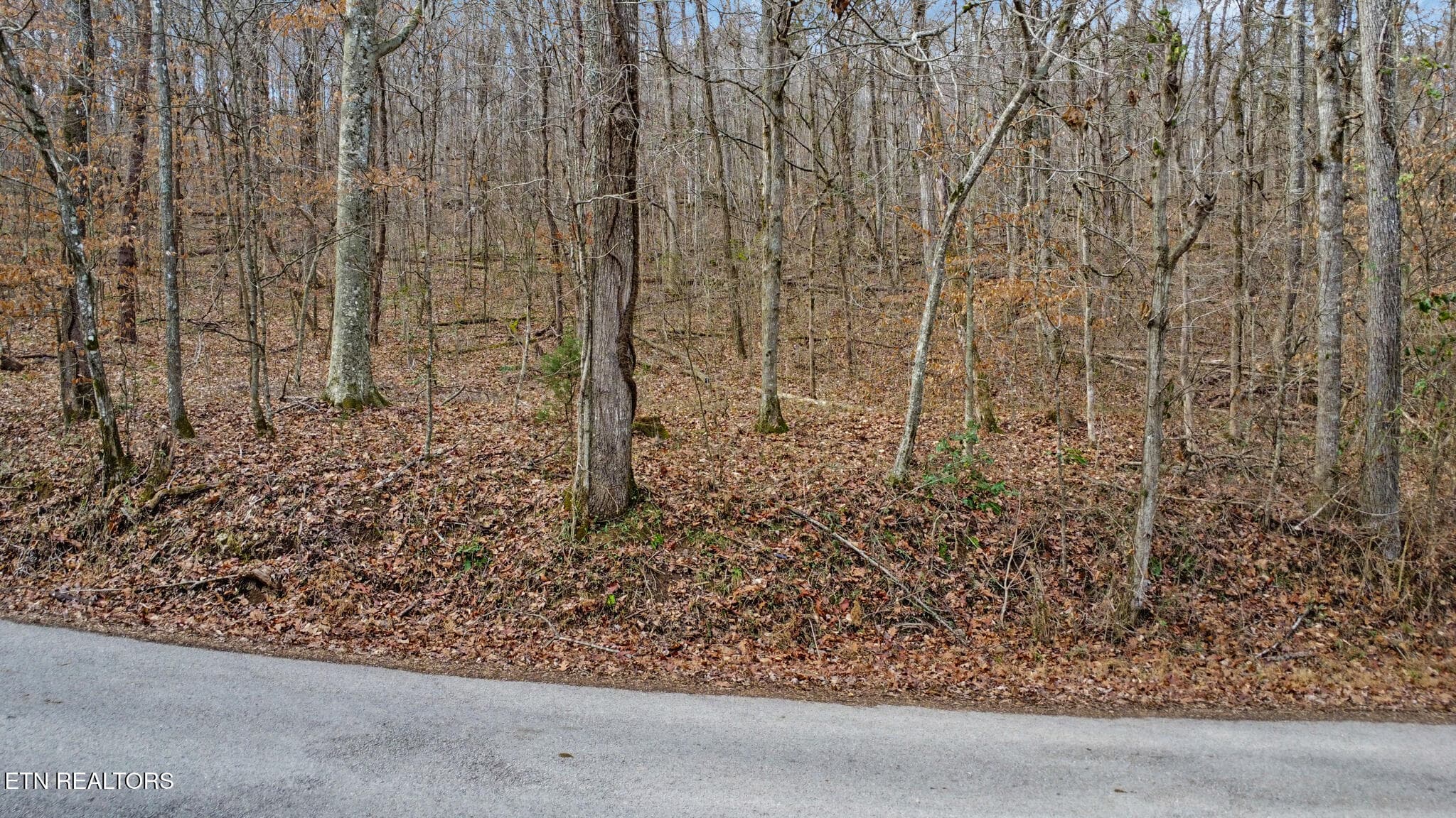 dji_0290-dji_0292 - Shellotte Loop, Pall Mall, TN 38577