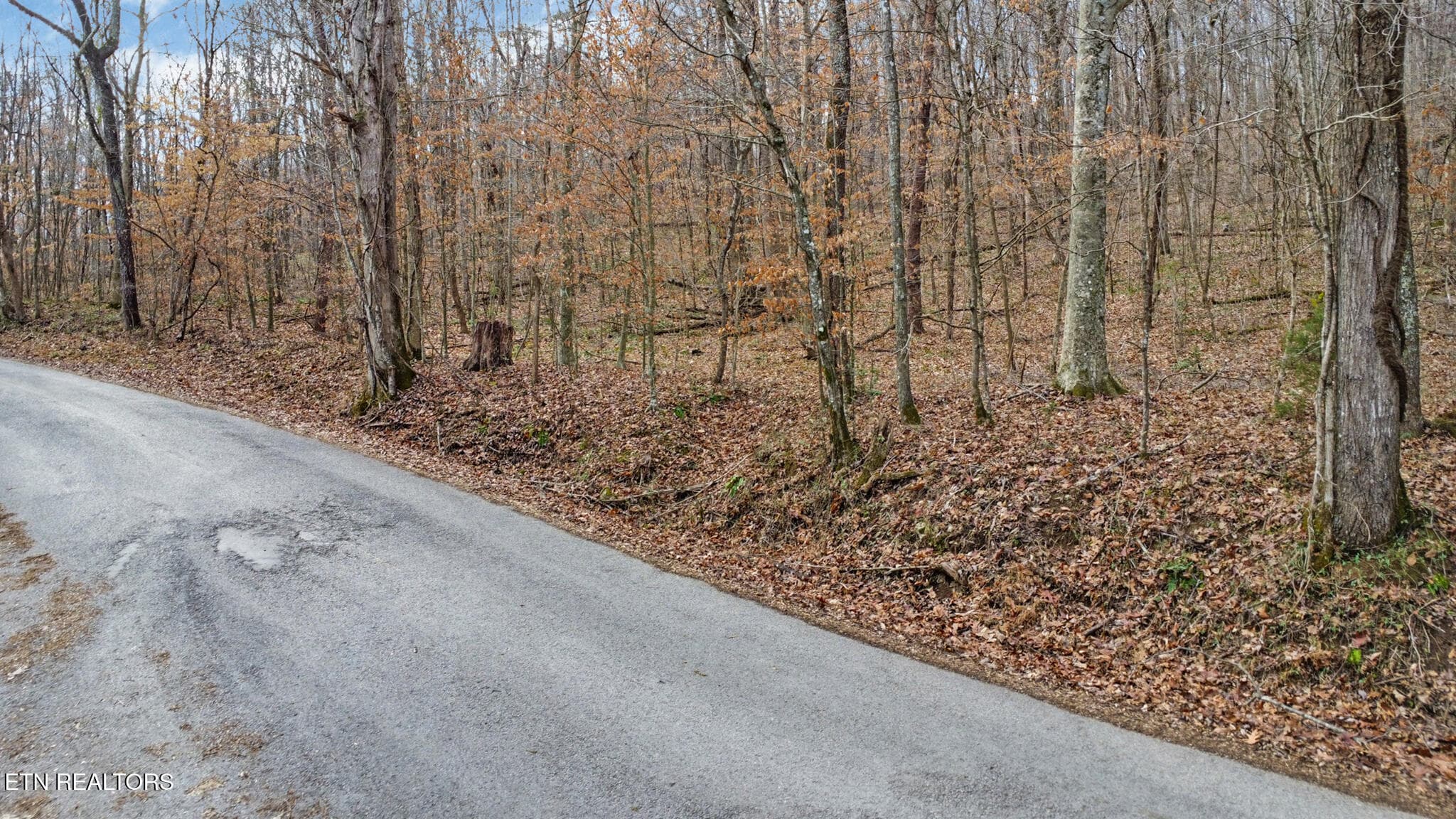 dji_0293-dji_0295 - Shellotte Loop, Pall Mall, TN 38577