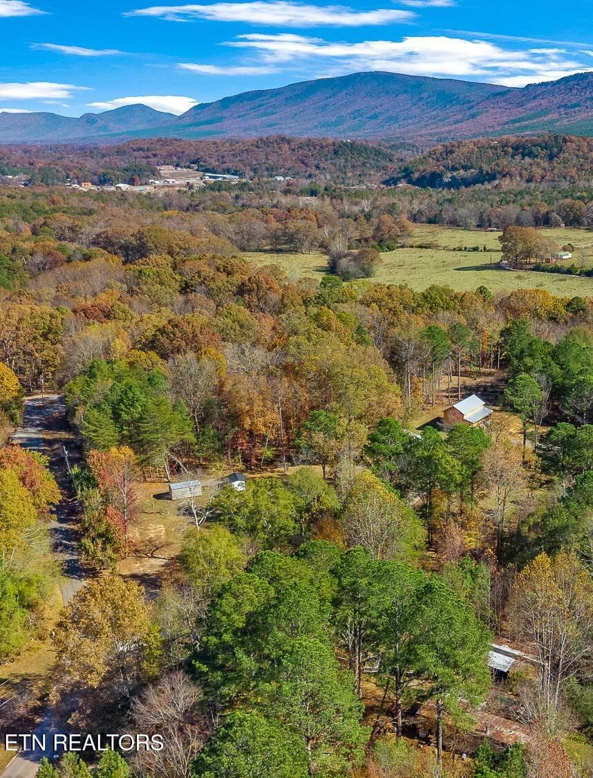 232 Sweeney Rd-39 - 232 Sweeney Road, Benton, TN 37307
