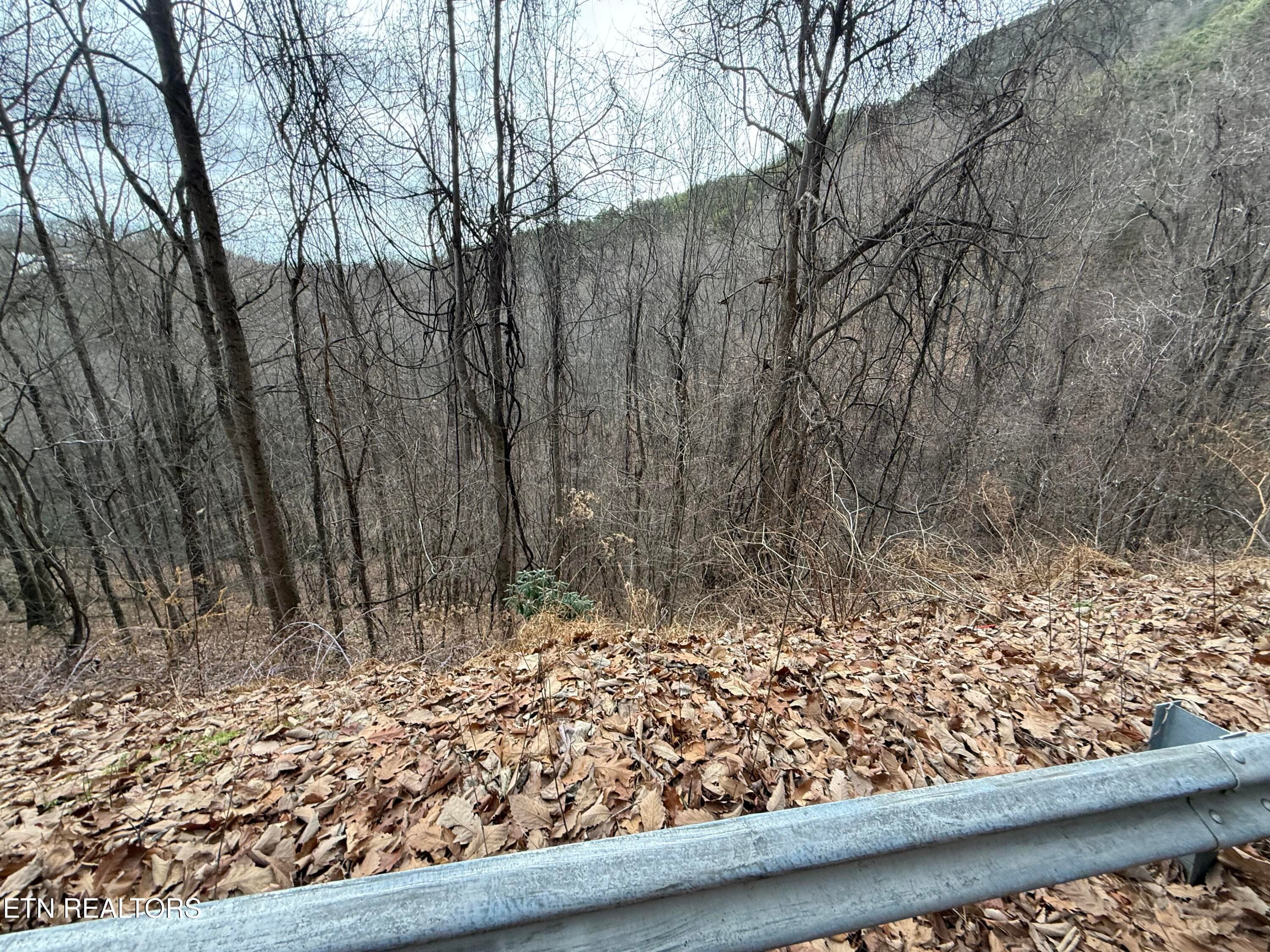 IMG_6517 - Lot 34 Alpine Drive, Sevierville, TN 37876