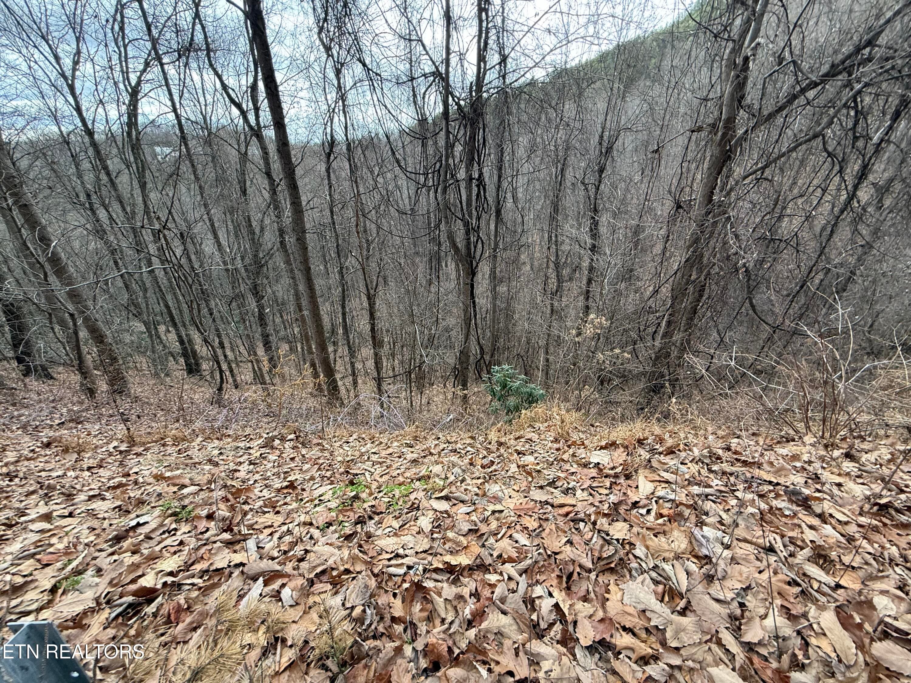 IMG_6519 - Lot 34 Alpine Drive, Sevierville, TN 37876