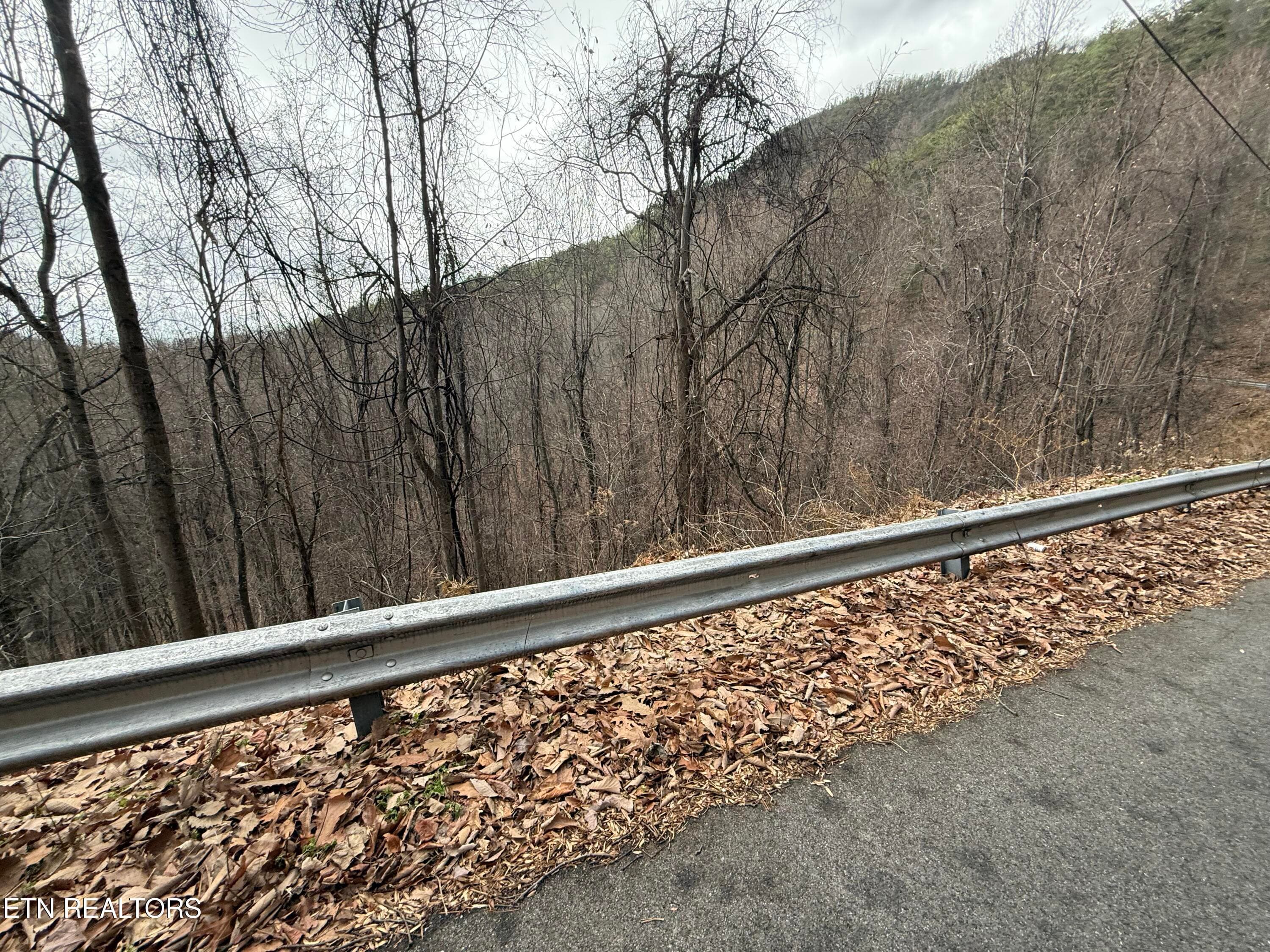 IMG_6522 - Lot 34 Alpine Drive, Sevierville, TN 37876