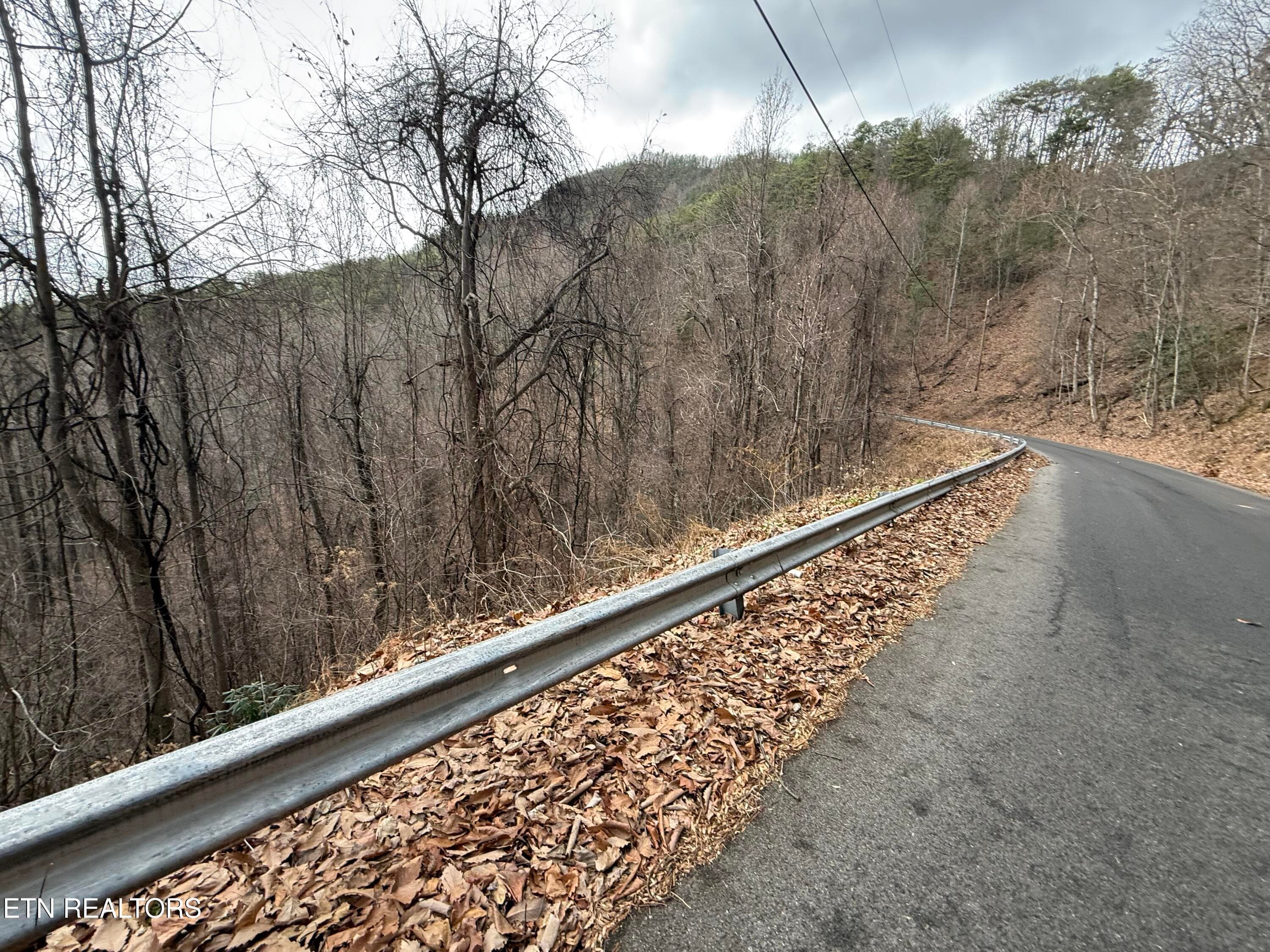 IMG_6523 - Lot 34 Alpine Drive, Sevierville, TN 37876