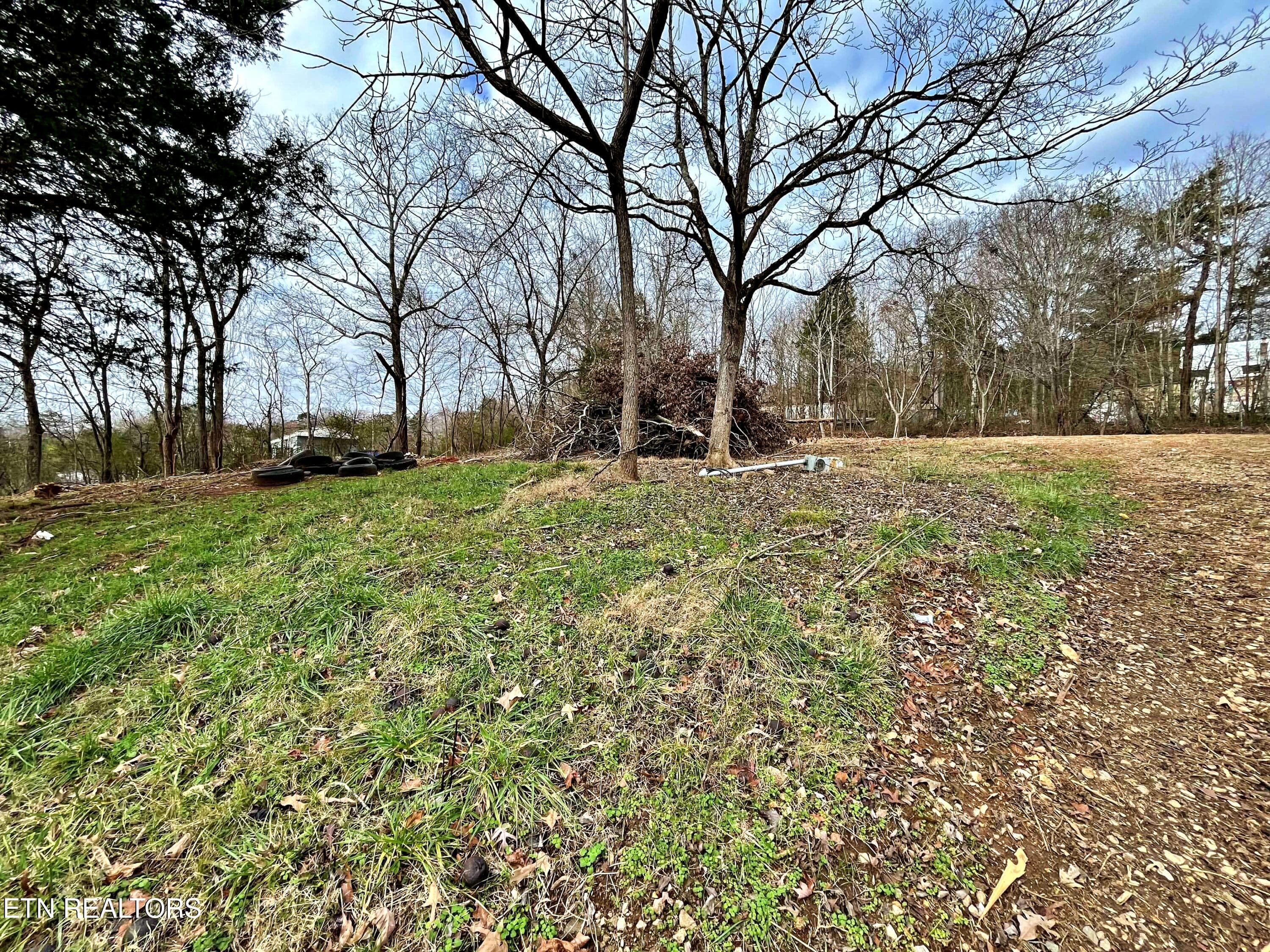 25ac02a9-5fd0-4c60-a2f9-cd54382df234 - 110 Pinecrest Drive, Loudon, TN 37774