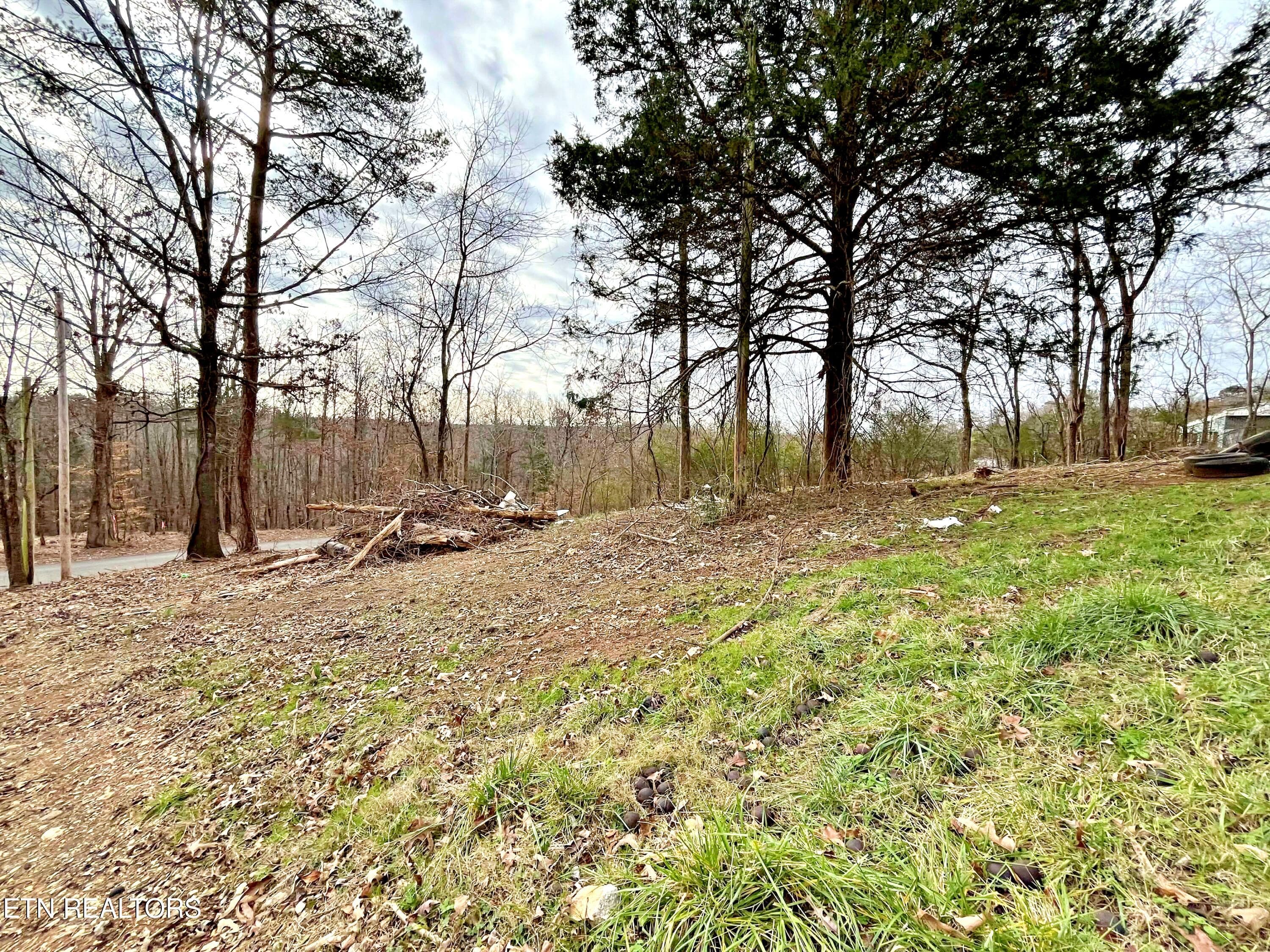 27357ce7-9cca-42a4-a15e-9fef07b421f5 - 110 Pinecrest Drive, Loudon, TN 37774