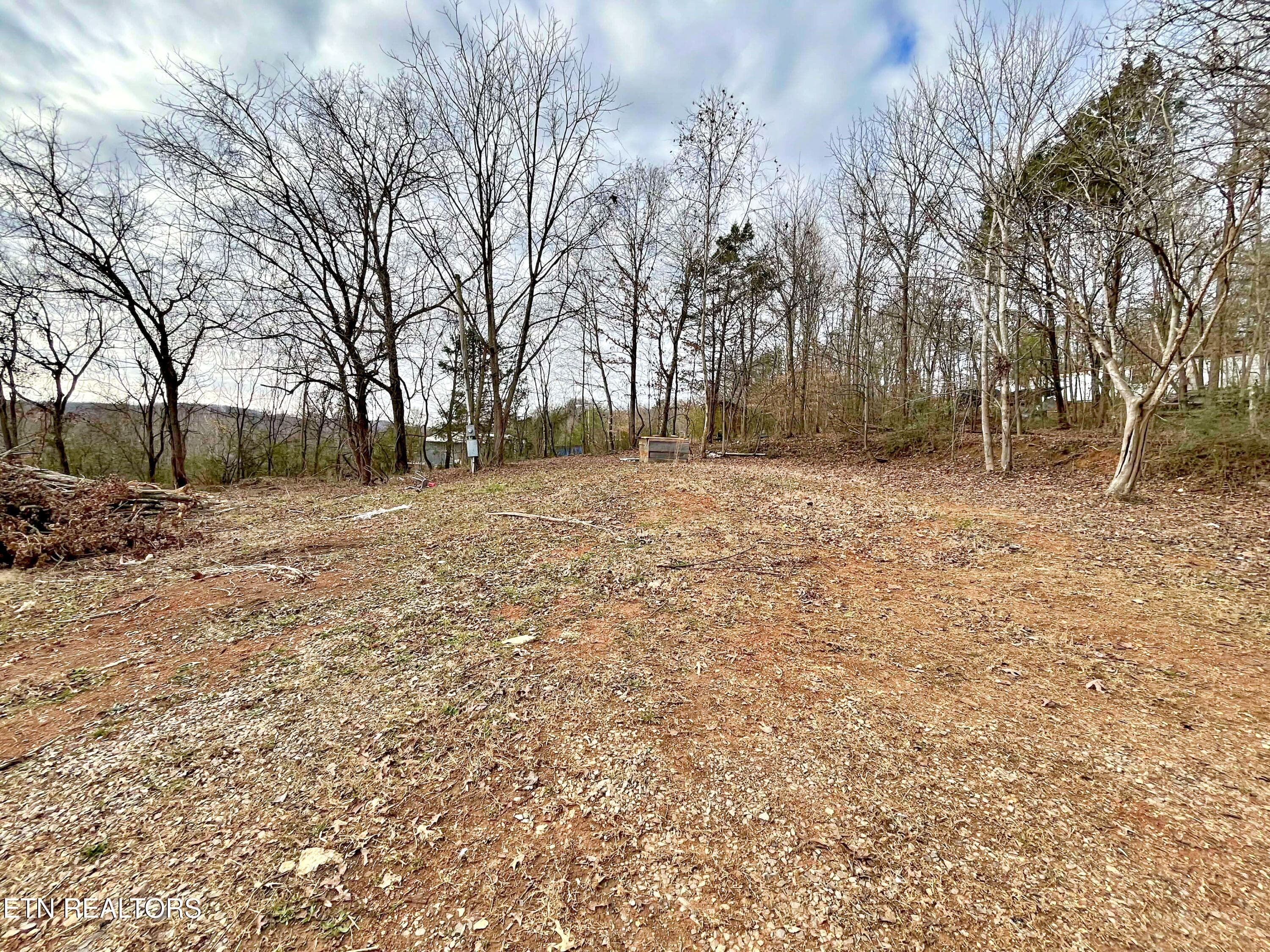 cc5edc6c-14a5-4286-a382-61d8ee27e3f9 - 114 Pinecrest Drive, Loudon, TN 37774