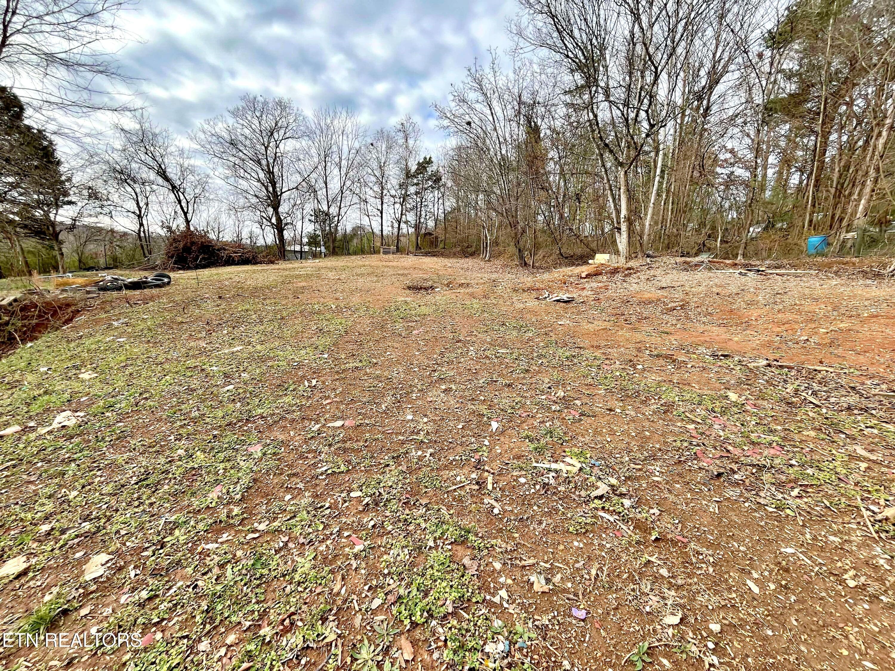 f8121cf3-08ad-4306-8865-71e077d0c2f1 - 114 Pinecrest Drive, Loudon, TN 37774