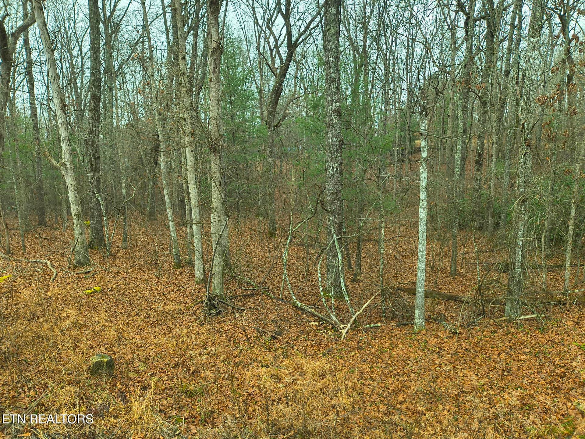526 & 528 Tsala Drive, Crossville, TN 38572