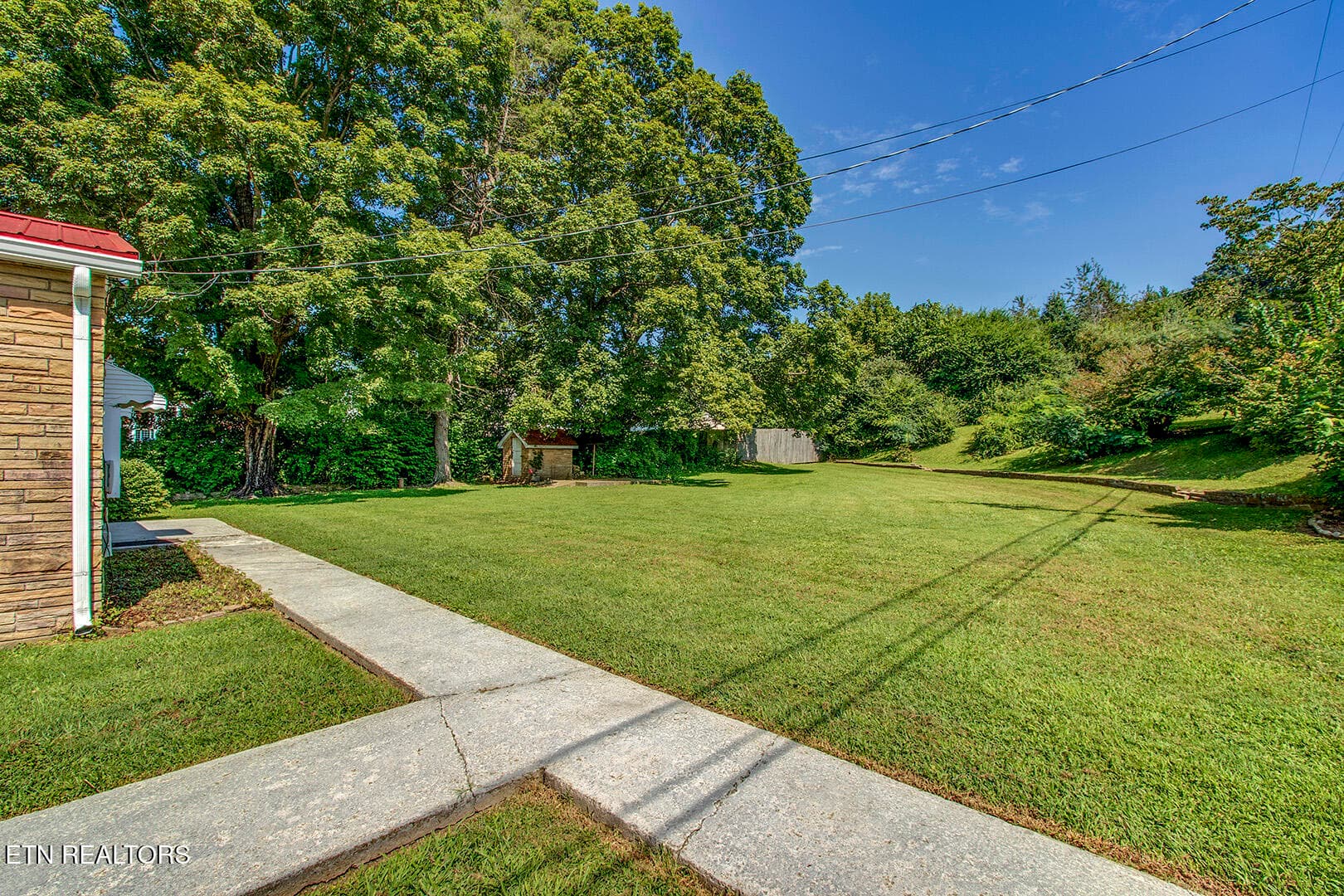 45_CourtStreet_522_Backyard - 522 Court St, Wartburg, TN 37887, Wartburg