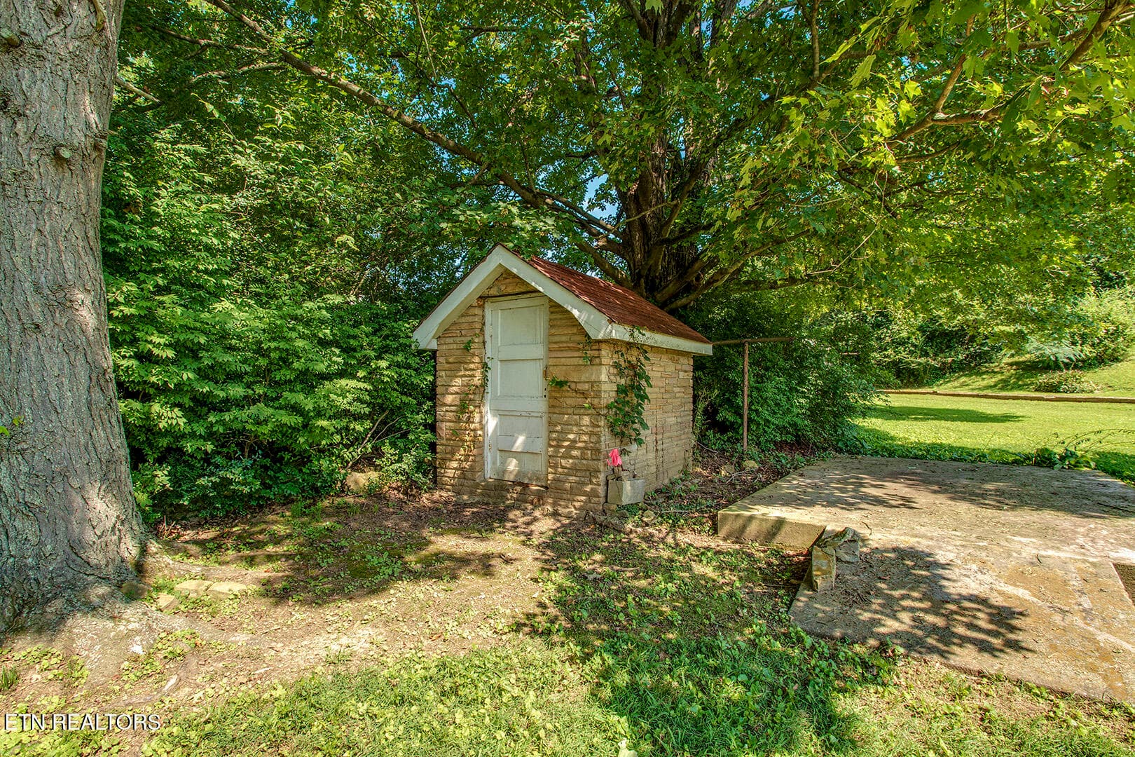 46_CourtStreet_522_GardenShed - 522 Court St, Wartburg, TN 37887, Wartburg