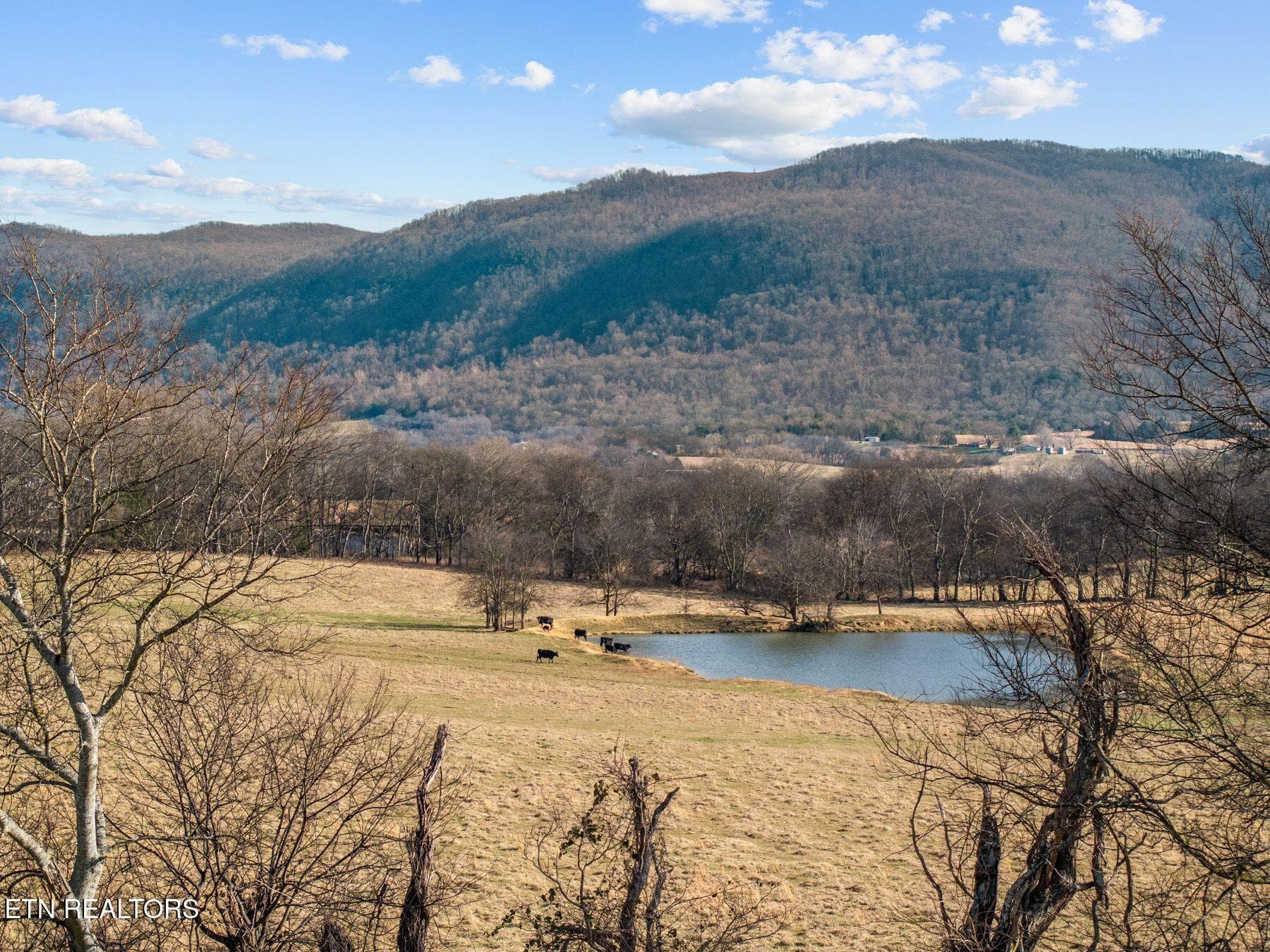 IMG_8419 - 20136 Old State Highway 28, Pikeville, TN 37367