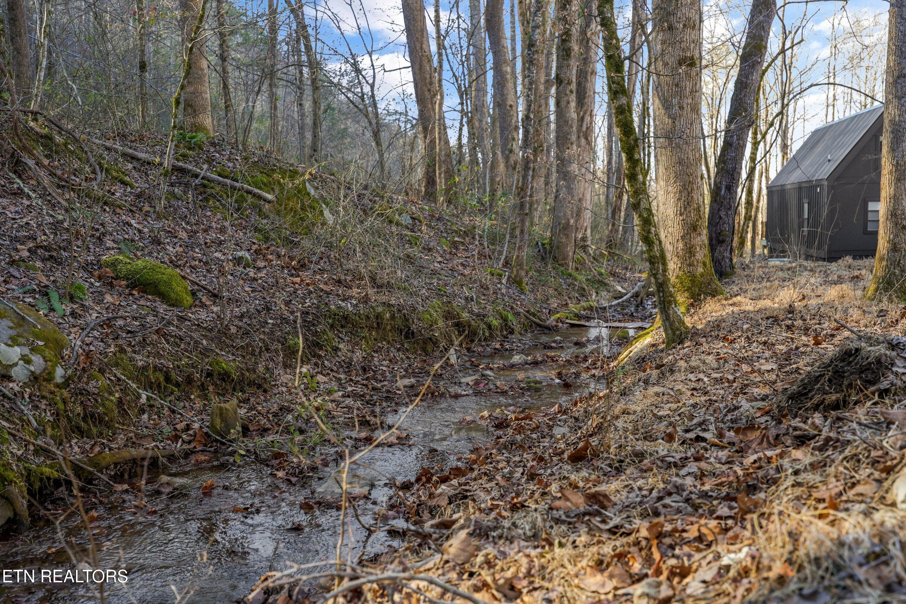 Small Creek on Property - 228 Braydens Way, Gatlinburg, TN 37738, Gatlinburg