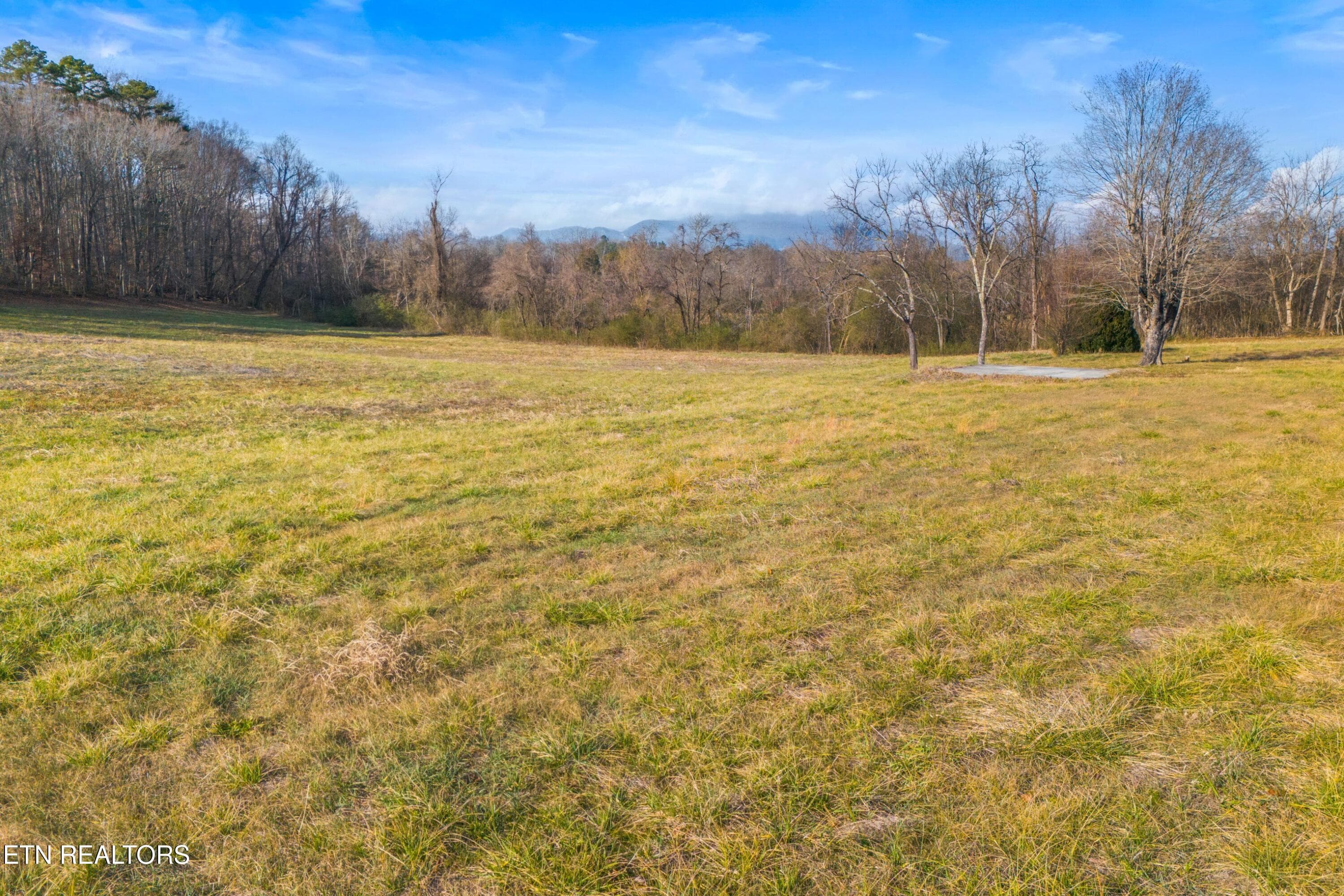 010-4121ChavisRoad-Cosby-TN-37722-SMALL - 4121 Chavis Rd, Cosby, TN 37722, Cosby