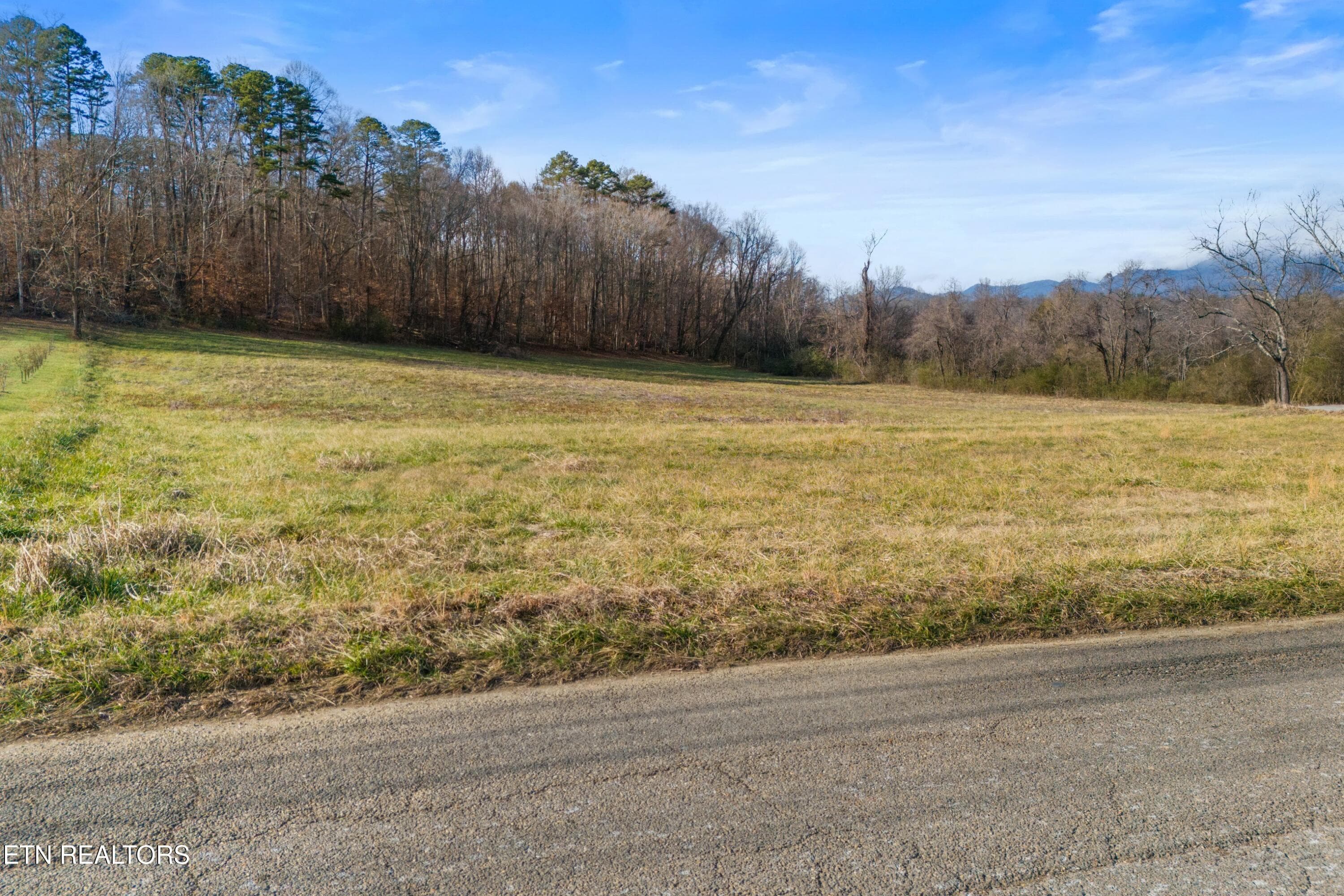 011-4121ChavisRoad-Cosby-TN-37722-SMALL - 4121 Chavis Rd, Cosby, TN 37722, Cosby