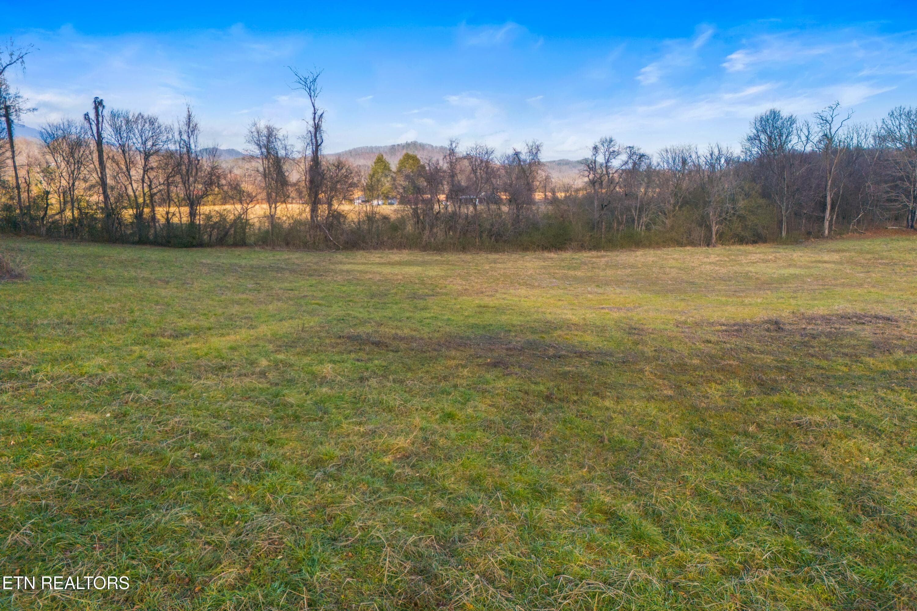 009-4121ChavisRoad-Cosby-TN-37722-SMALL - 4121 Chavis Rd, Cosby, TN 37722, Cosby