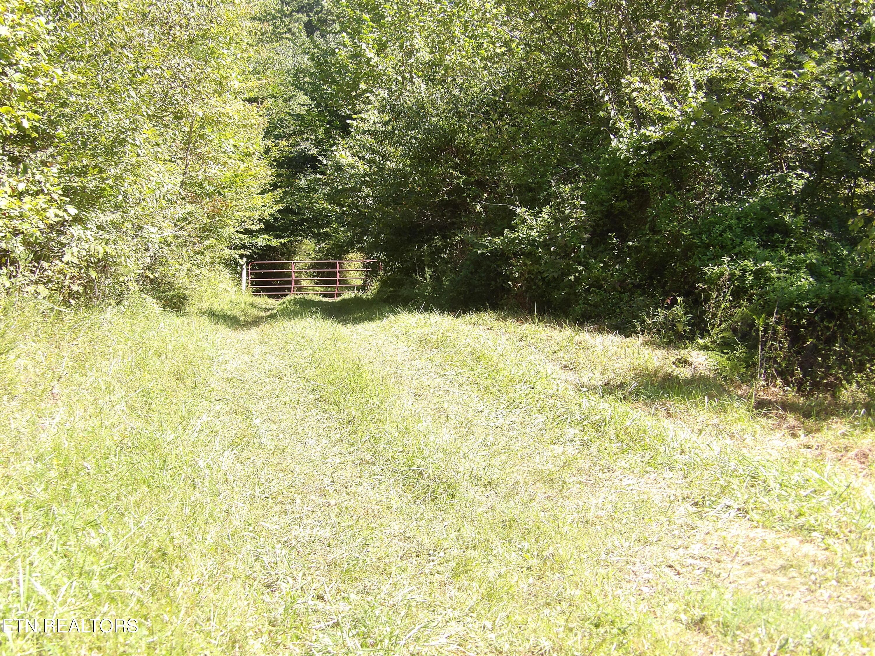 101_5953 - 323 Beech Hollow Rd, Harrogate, TN 37752