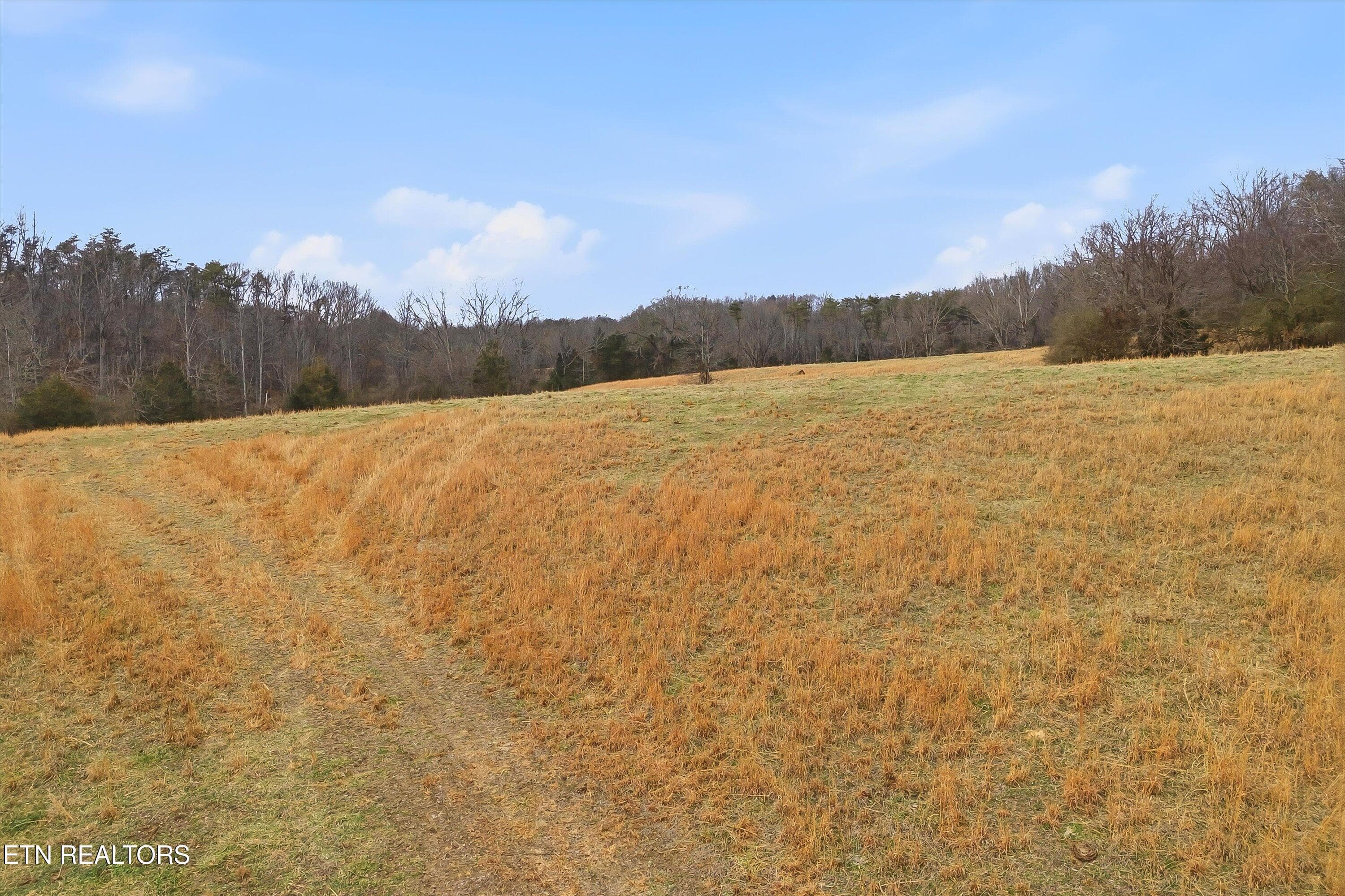 21-Chestua Rd-21 - Chestua Rd, Madisonville, TN 37354
