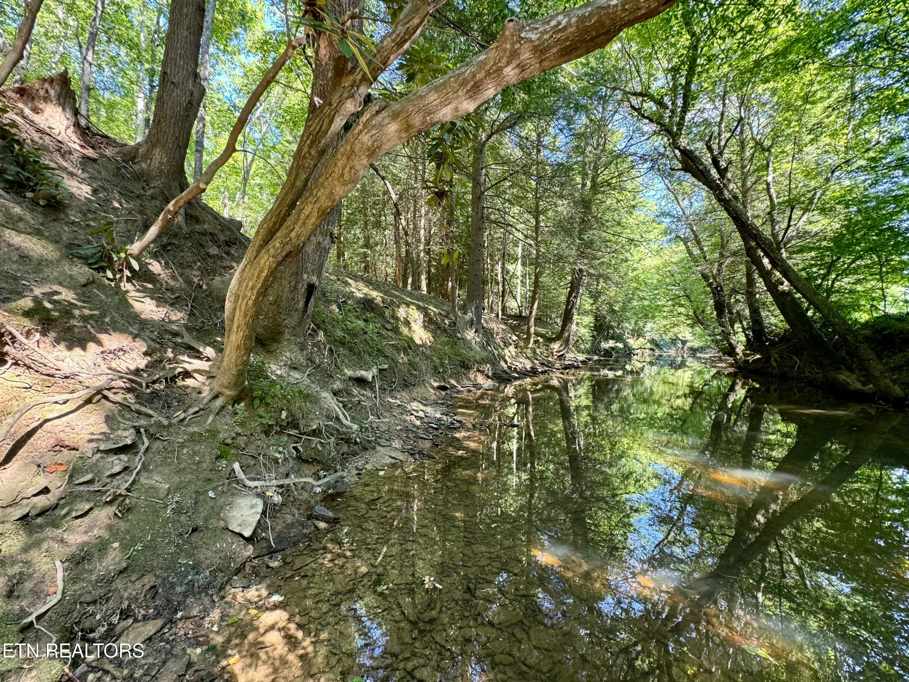 IMG_0538 - 59 Union Hill Rd, Sunbright, TN 37872