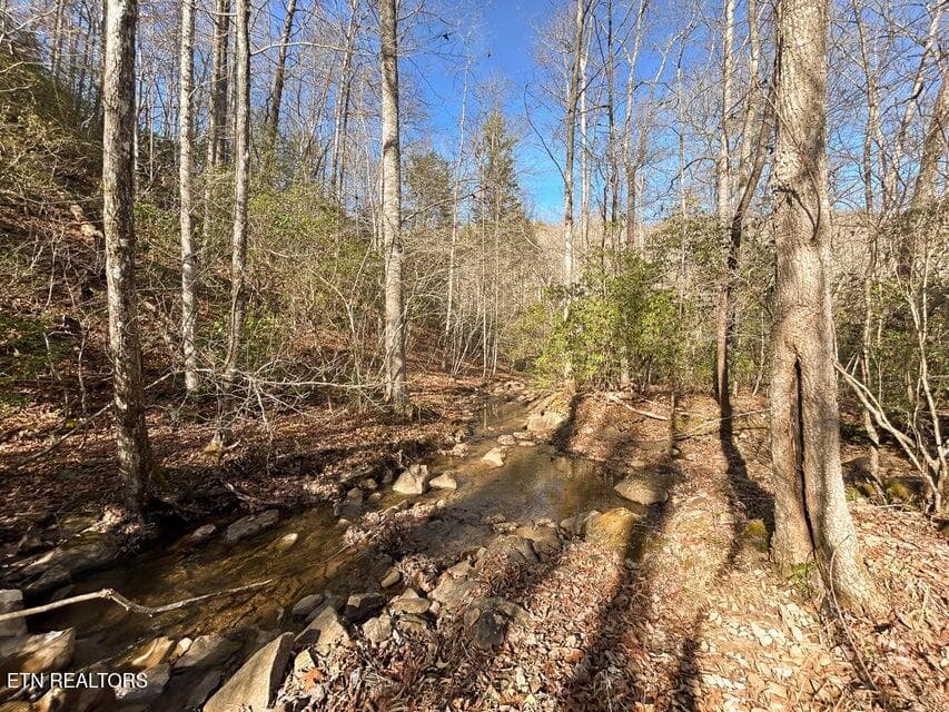 0 Deerhead Rd, Dunlap, TN 37327
