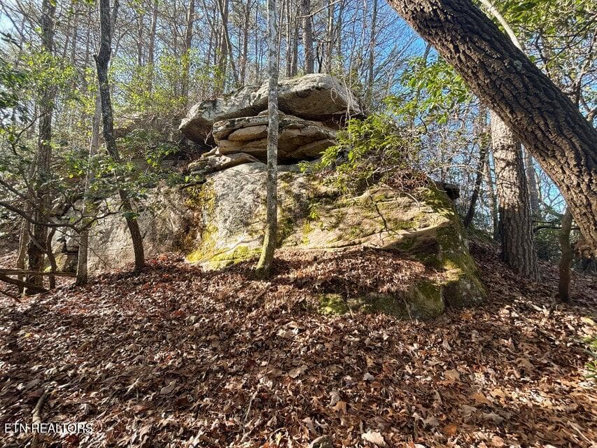 4 - 0 Deerhead Rd, Dunlap, TN 37327